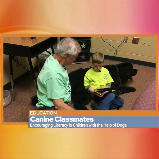 Canine Classmates on KENS5 Great Day SA