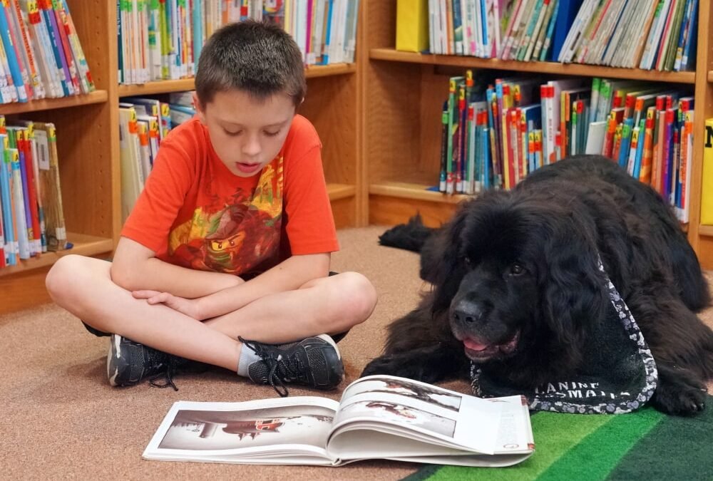 Child reading with dog